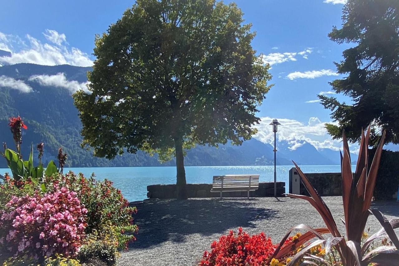 Holiday Apartments Falke Brienz  Zewnętrze zdjęcie